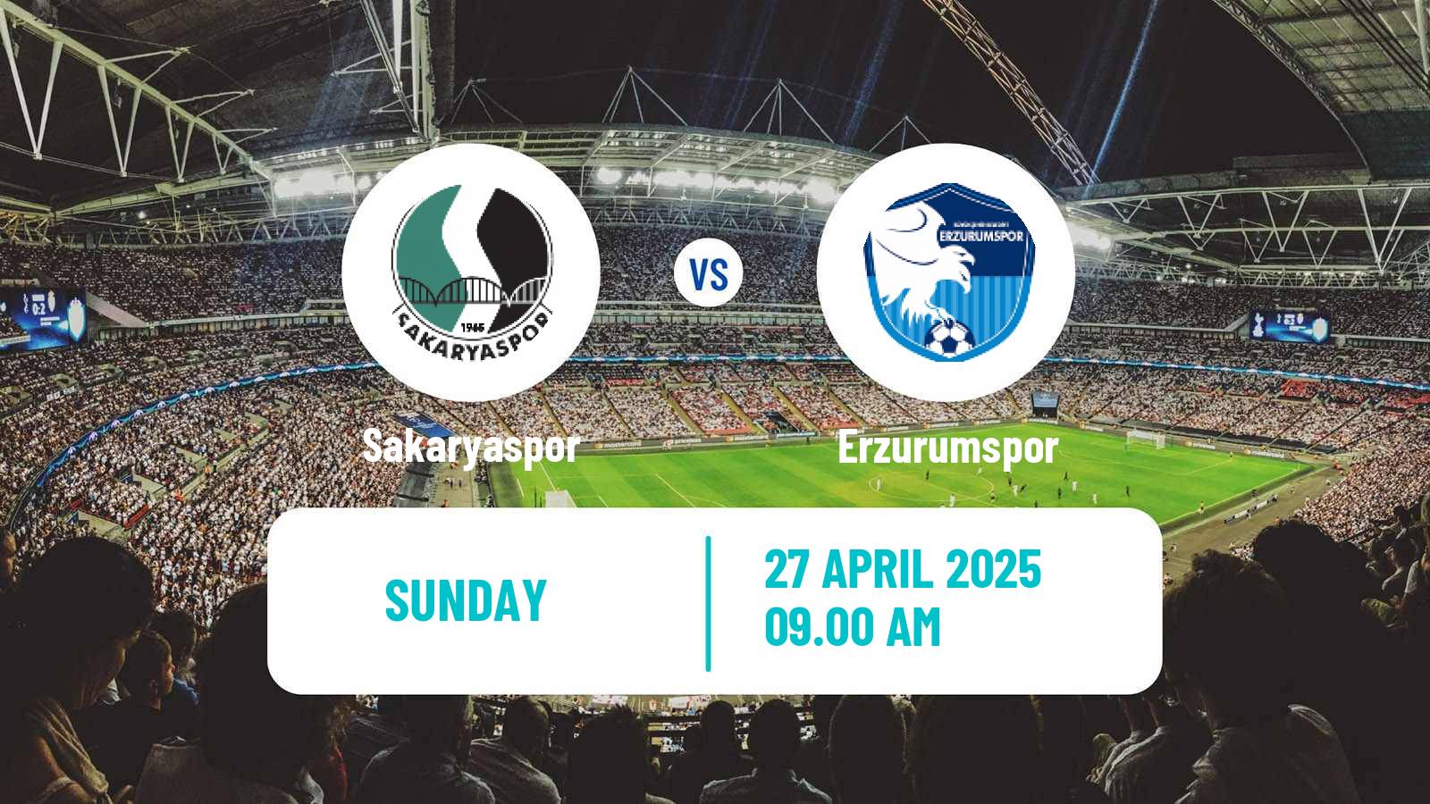 Soccer Turkish First League Sakaryaspor - Erzurumspor