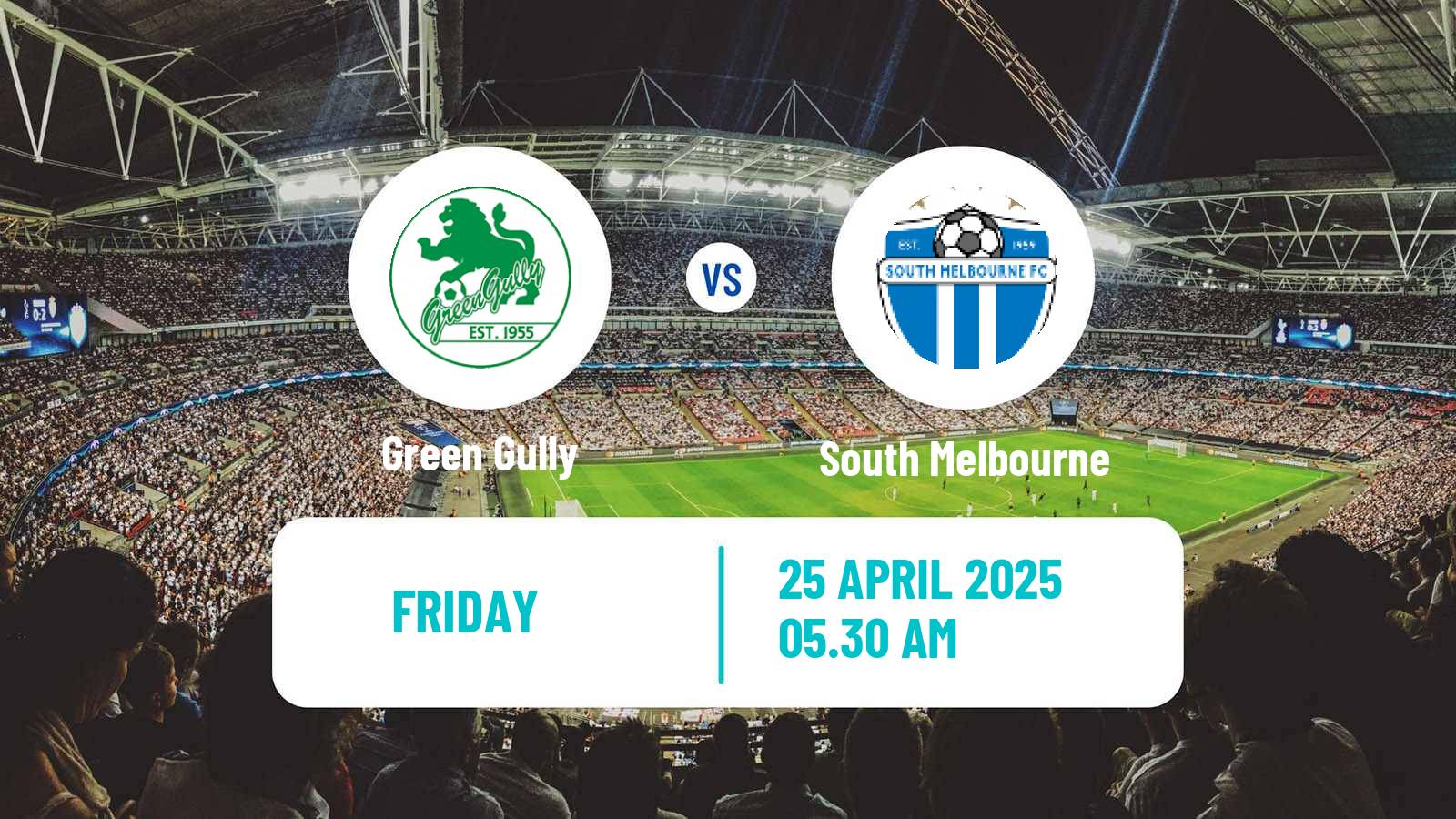 Soccer Australian NPL Victoria Green Gully - South Melbourne