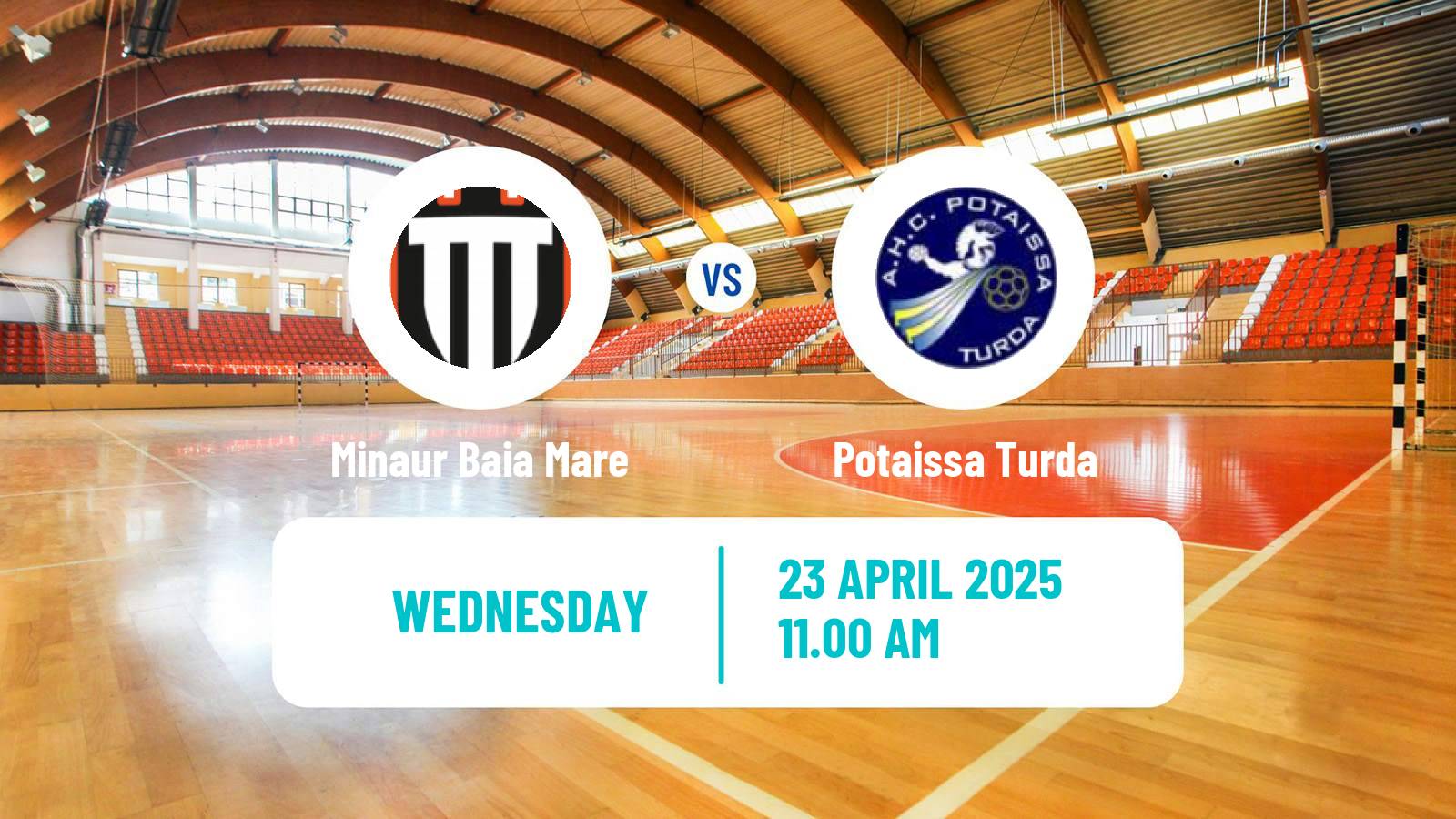 Handball Romanian Liga Nationala Handball Minaur Baia Mare - Potaissa Turda