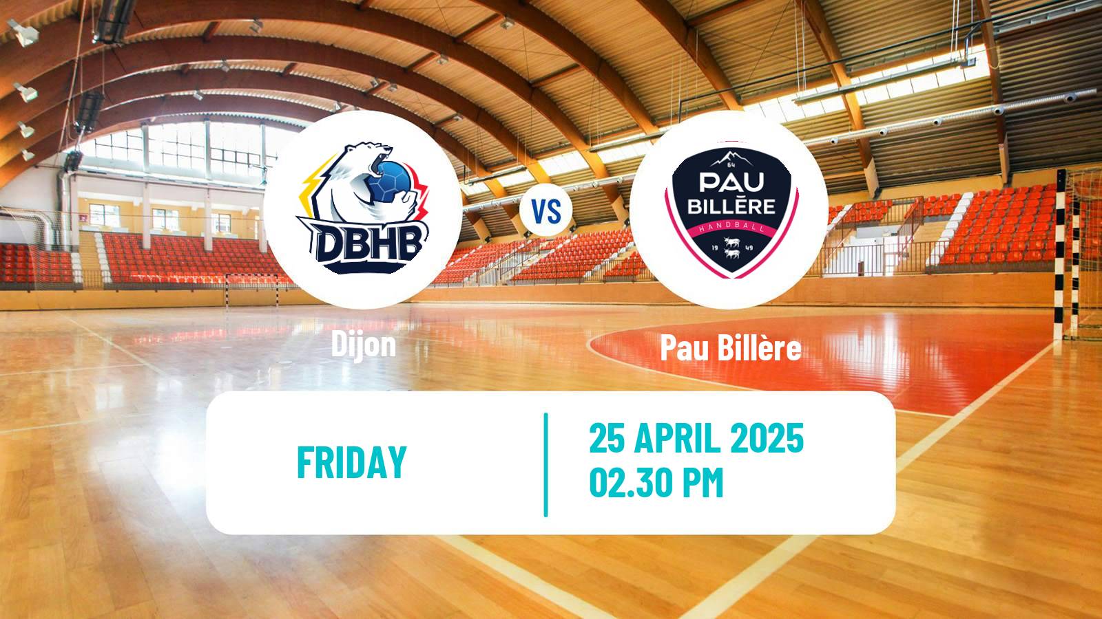 Handball French Proligue Handball Dijon - Pau Billère