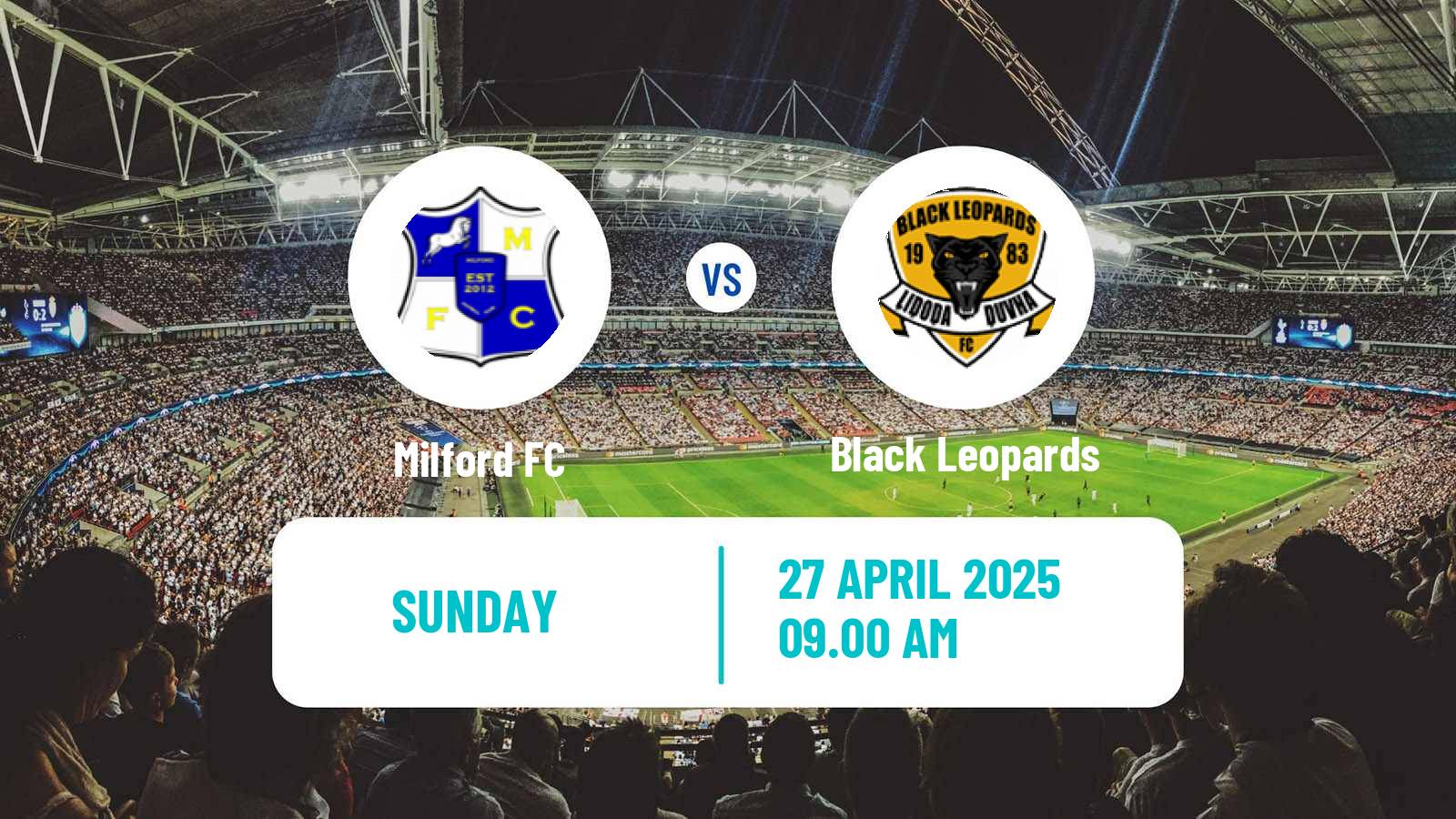 Soccer South African First Division Milford - Black Leopards