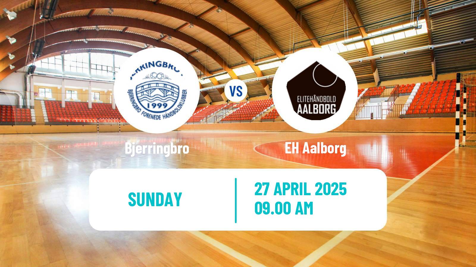 Handball Danish Handbold Ligaen Women Bjerringbro - EH Aalborg