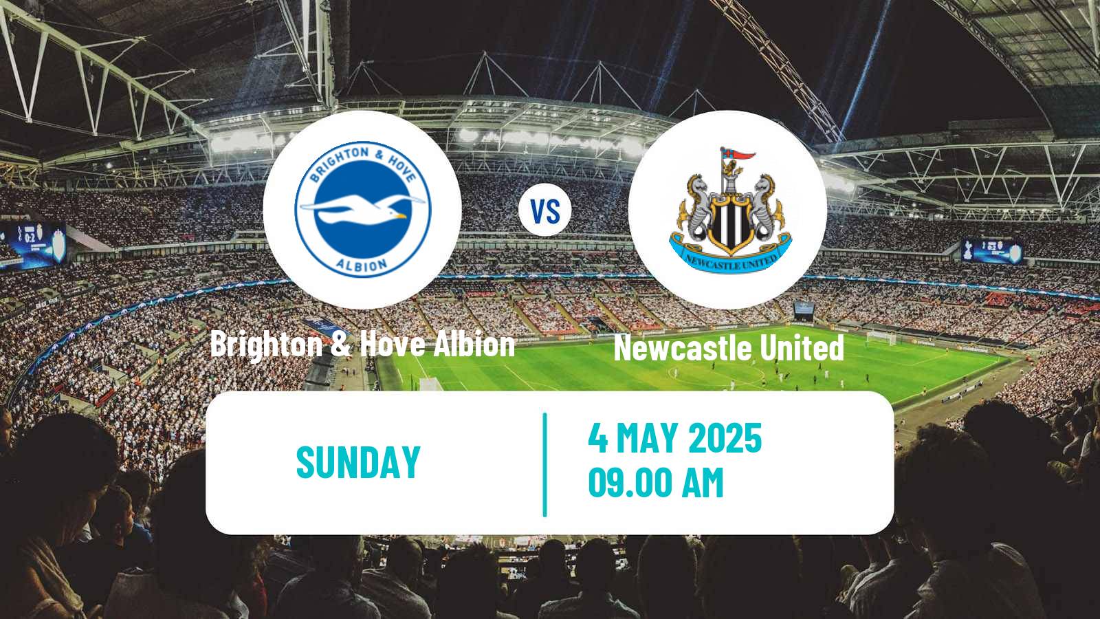 Soccer English Premier League Brighton & Hove Albion - Newcastle United
