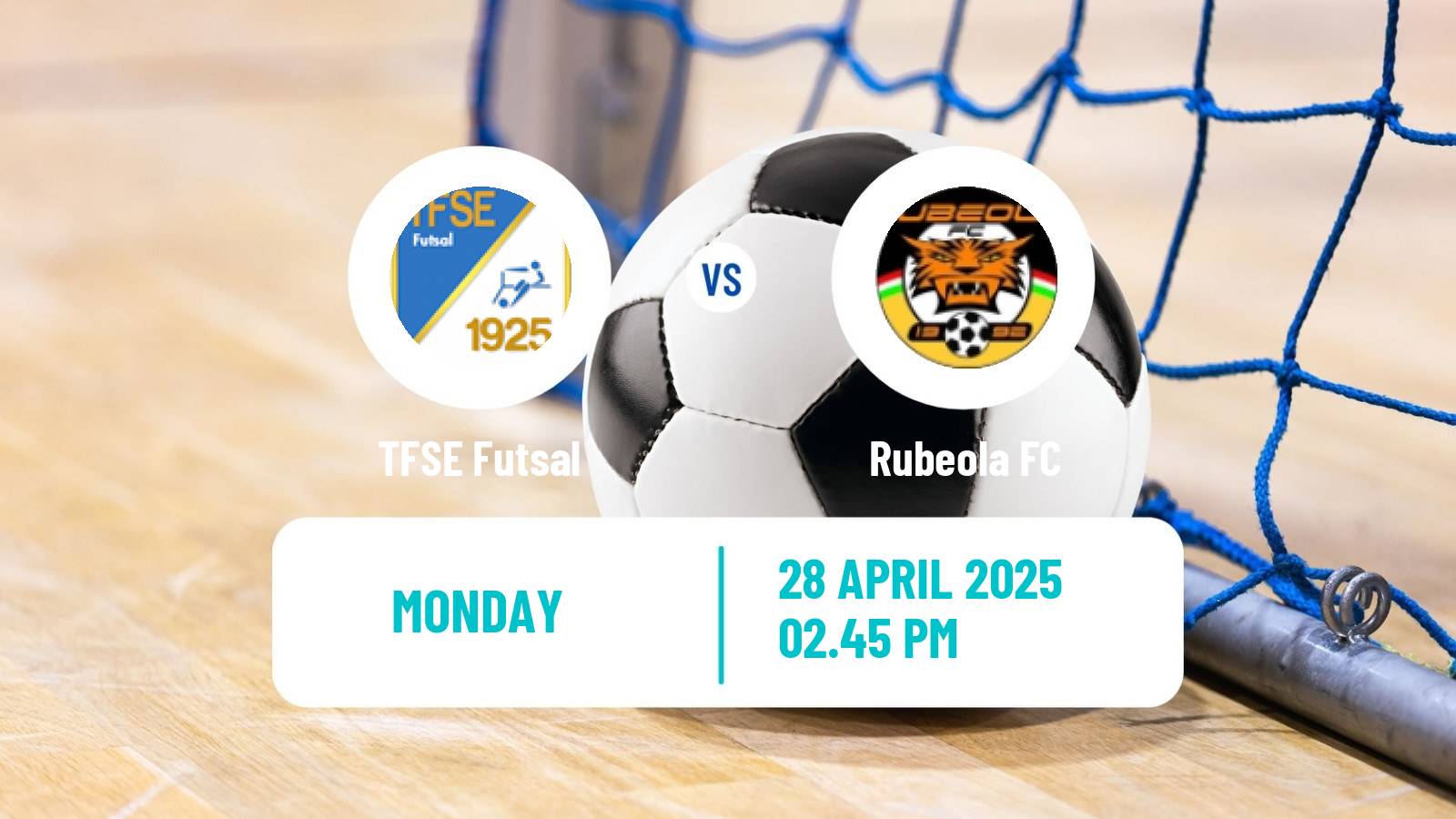 Futsal Hungarian NB I Futsal TFSE - Rubeola