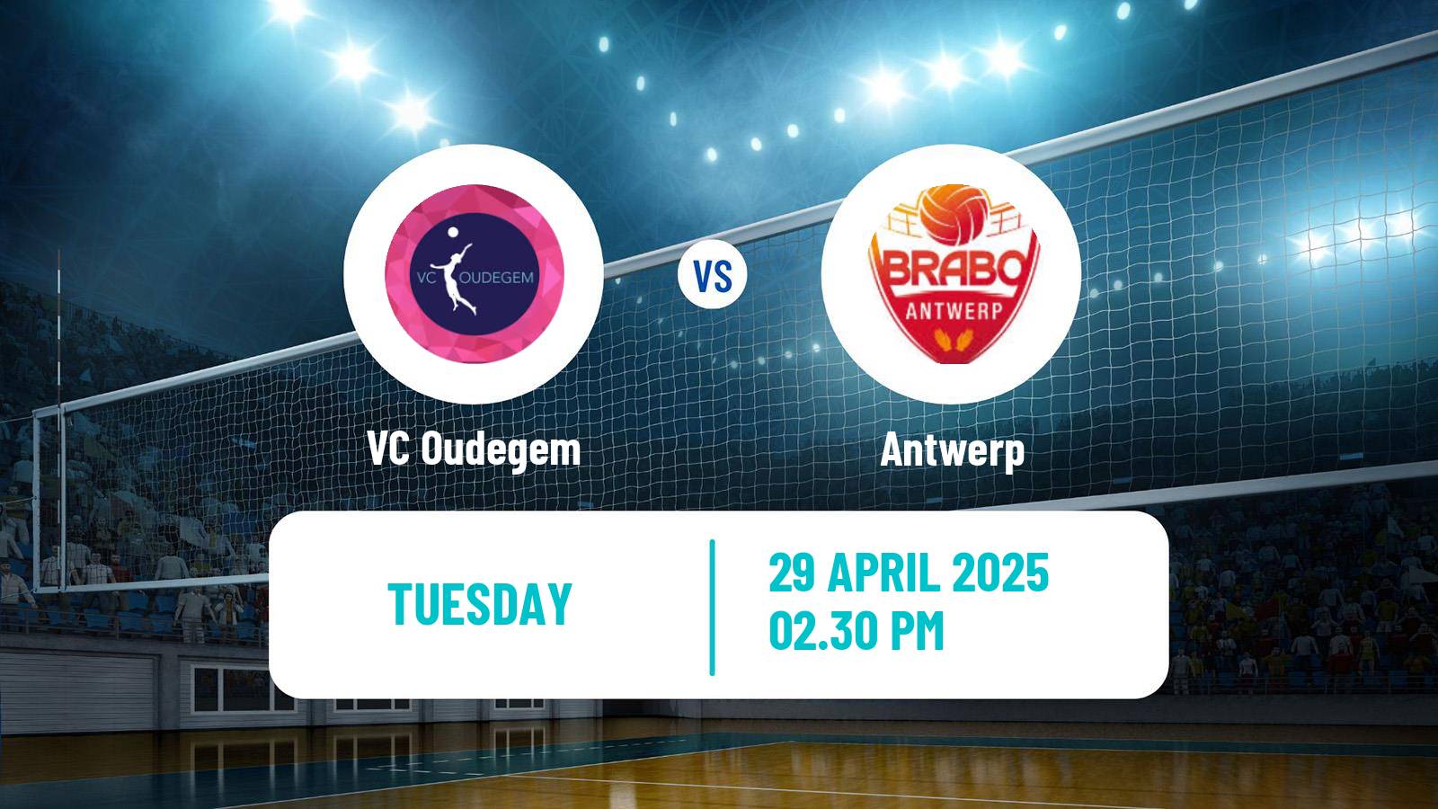 Volleyball Belgian Liga A Volleyball Women Oudegem - Antwerp