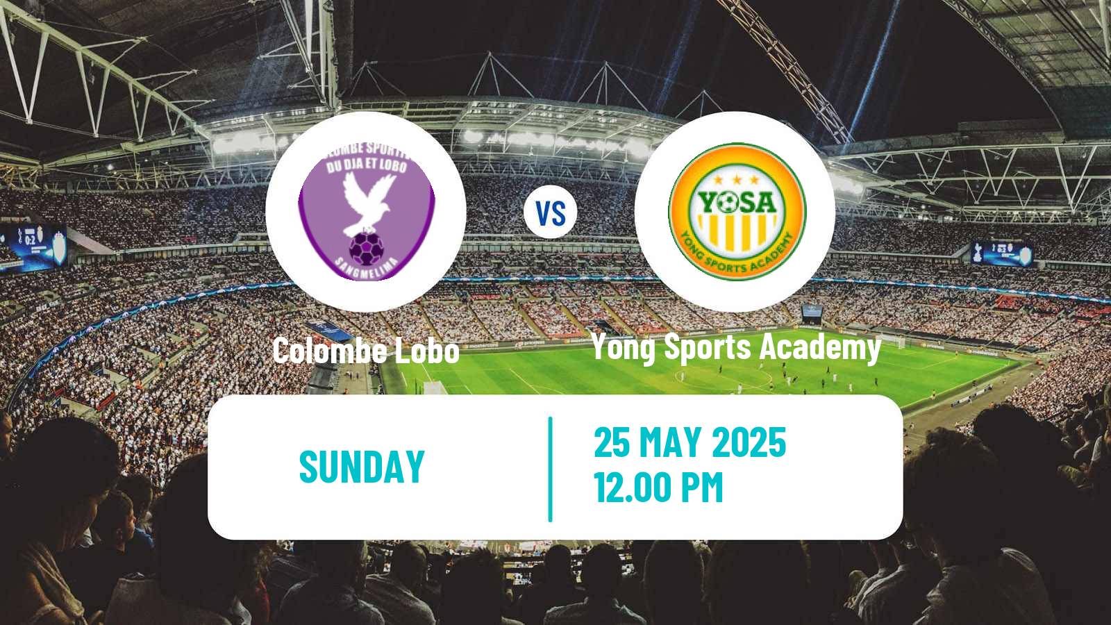 Soccer Cameroon Elite One Colombe Lobo - Yong Sports Academy