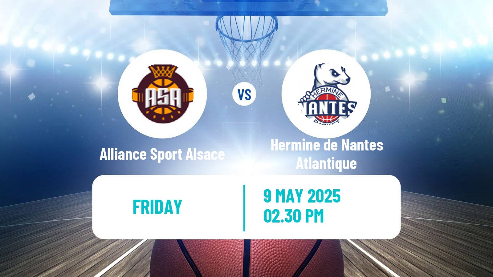Basketball French LNB Pro B Alliance Sport Alsace - Hermine de Nantes Atlantique