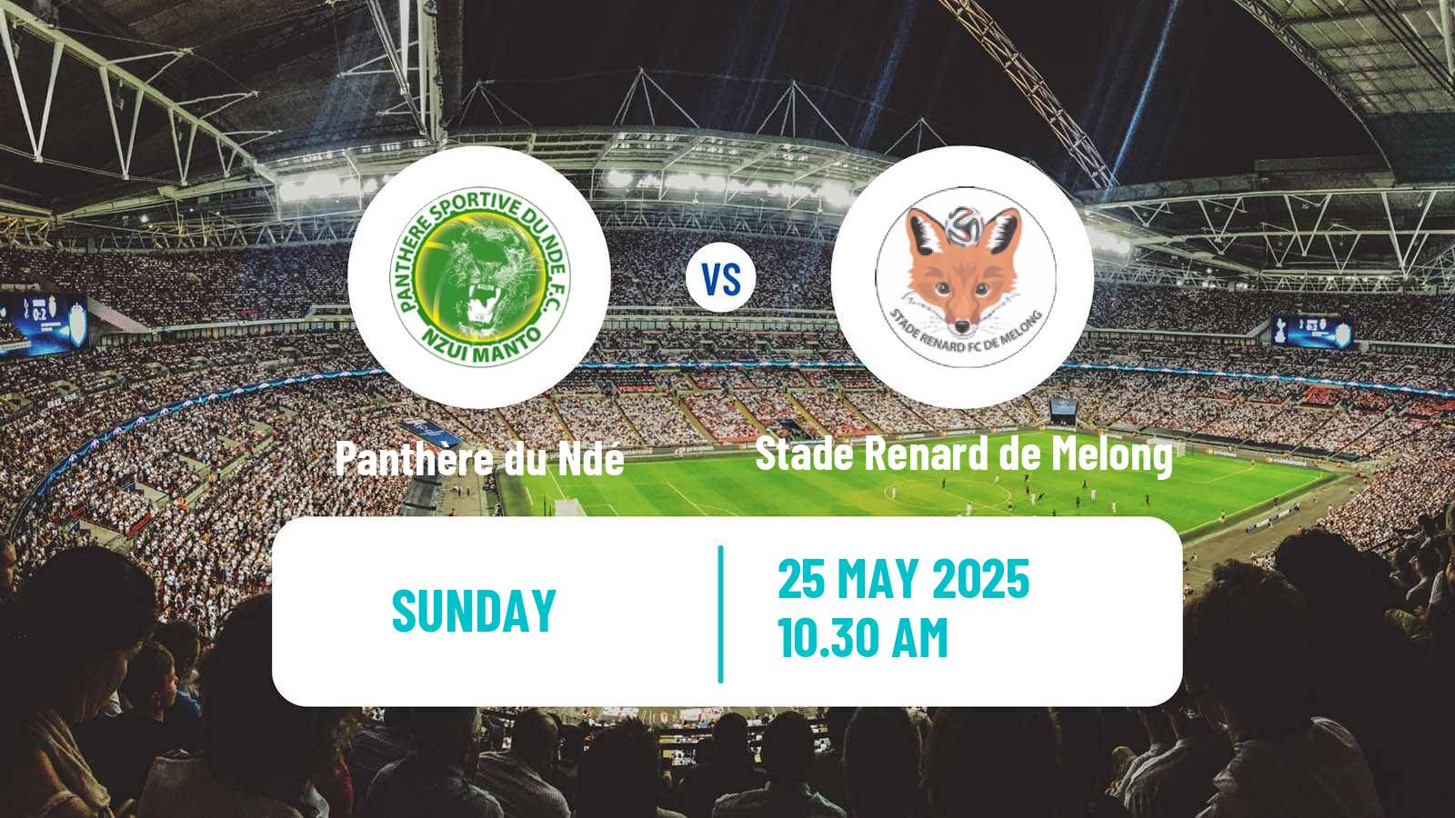 Soccer Cameroon Elite One Panthère du Ndé - Stade Renard de Melong