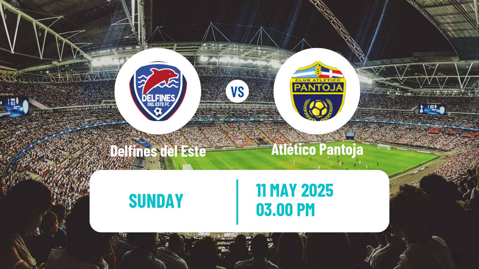 Football Dominican Republic Copa de la LDF Delfines del Este - Atlético Pantoja