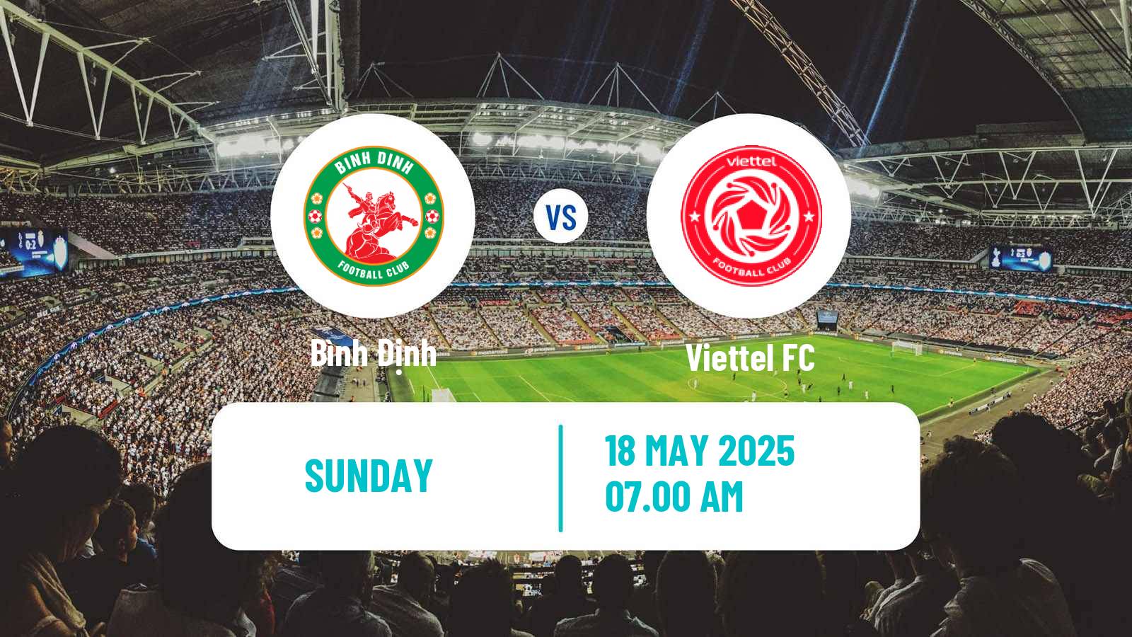 Soccer Vietnamese V League 1 Bình Định - Viettel
