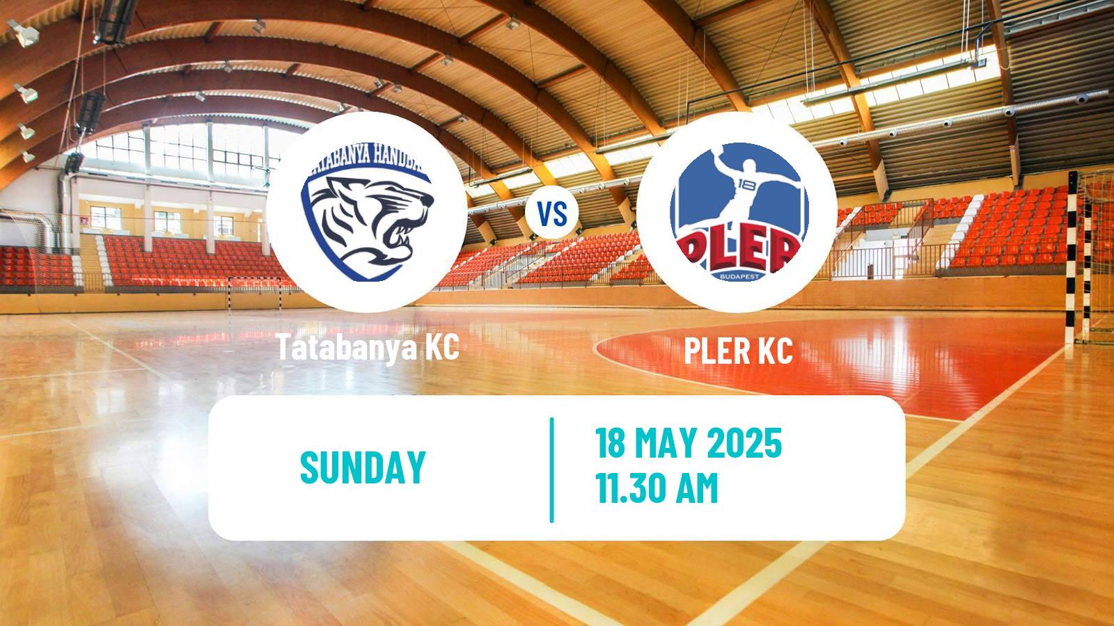 Handball Hungarian Division 1 Handball Tatabanya - PLER
