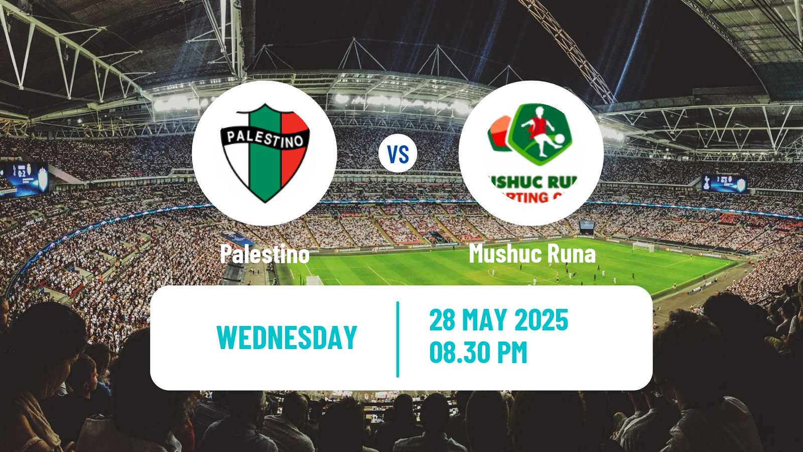 Football Copa Sudamericana Palestino - Mushuc Runa