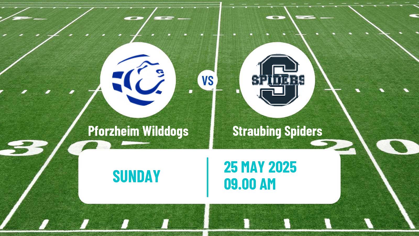 American football German GFL Pforzheim Wilddogs - Straubing Spiders
