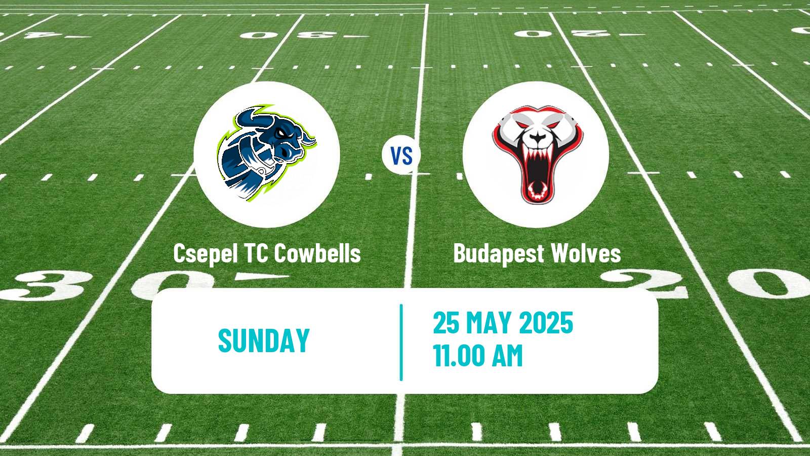 American football Hungarian HFL  American Football Csepel TC Cowbells - Budapest Wolves
