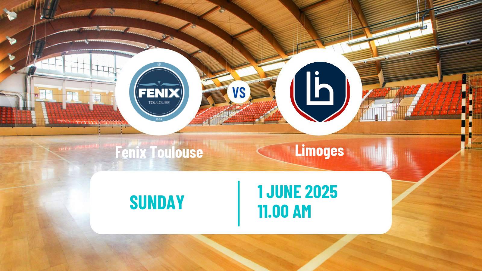 Handball French Starligue Handball Fenix Toulouse - Limoges