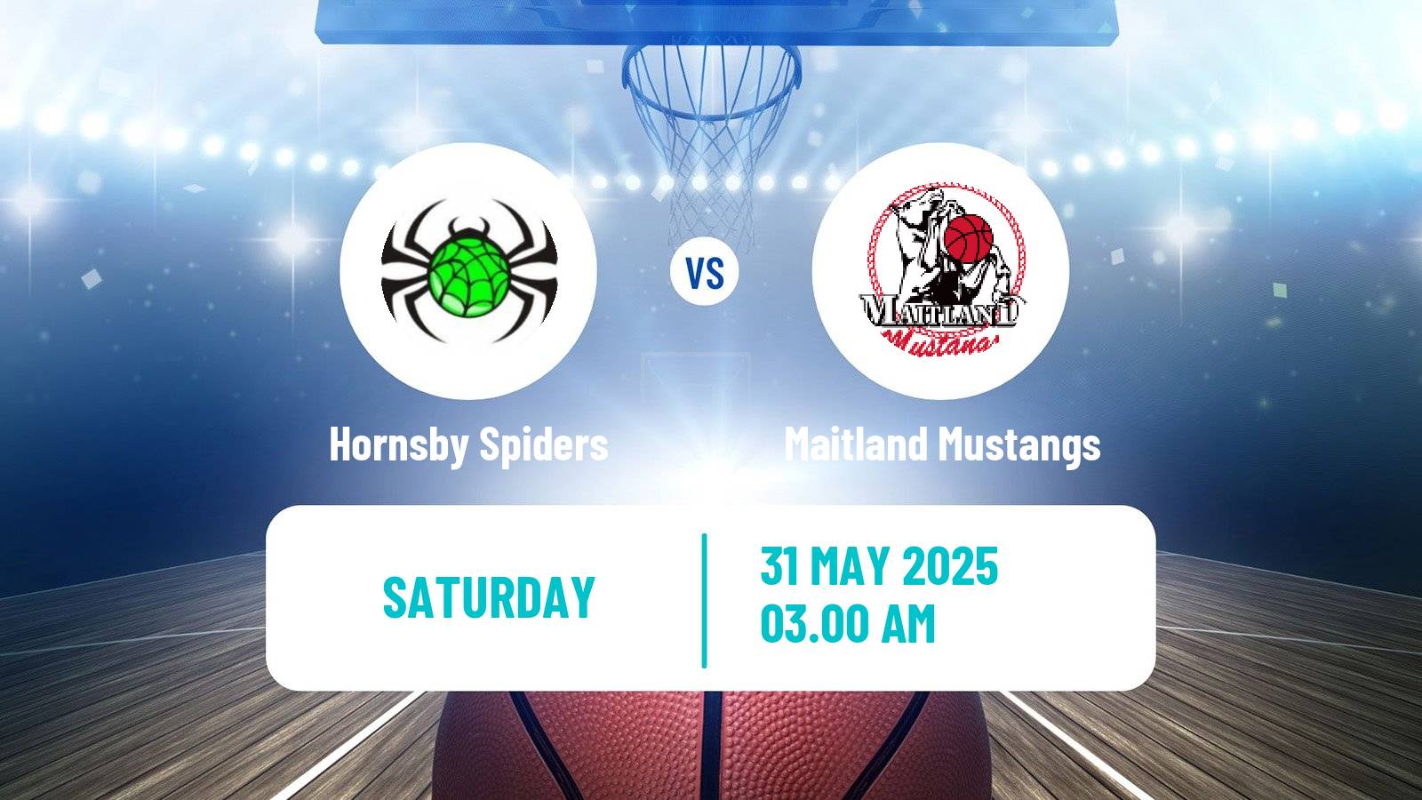 Basketball Australian NBL1 East Women Hornsby Spiders - Maitland Mustangs