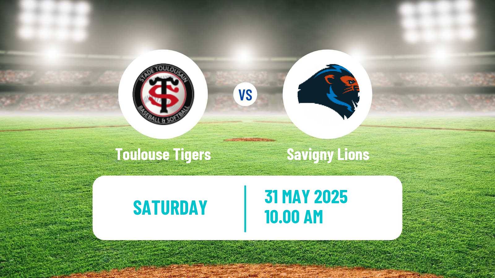 Baseball French Division 1 Baseball Toulouse Tigers - Savigny Lions