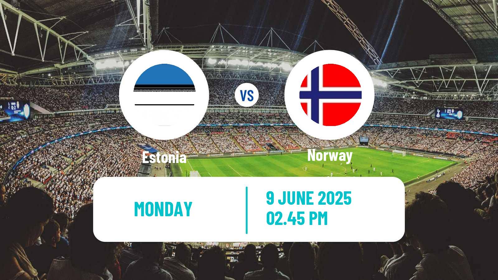 Soccer FIFA World Cup Estonia - Norway