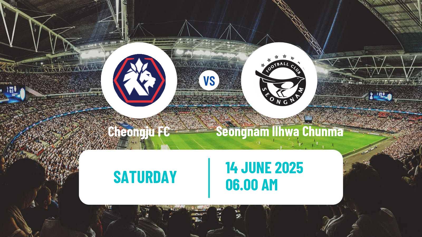 Soccer South Korean K-League 2 Cheongju - Seongnam Ilhwa Chunma