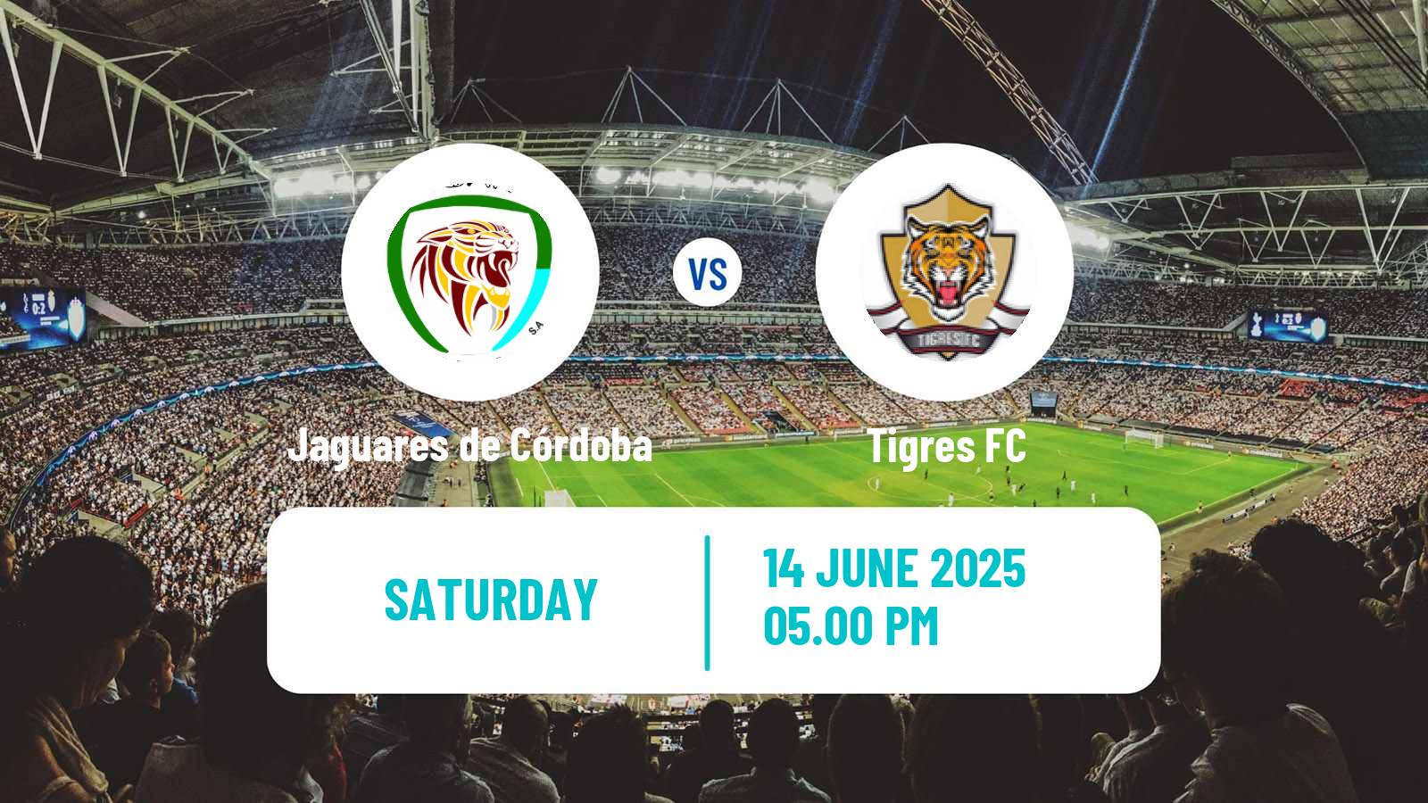 Soccer Colombian Primera B Jaguares de Córdoba - Tigres