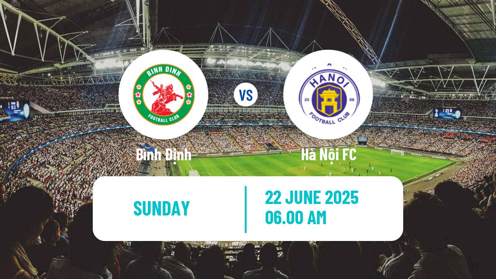 Soccer Vietnamese V League 1 Bình Định - Hà Nội FC