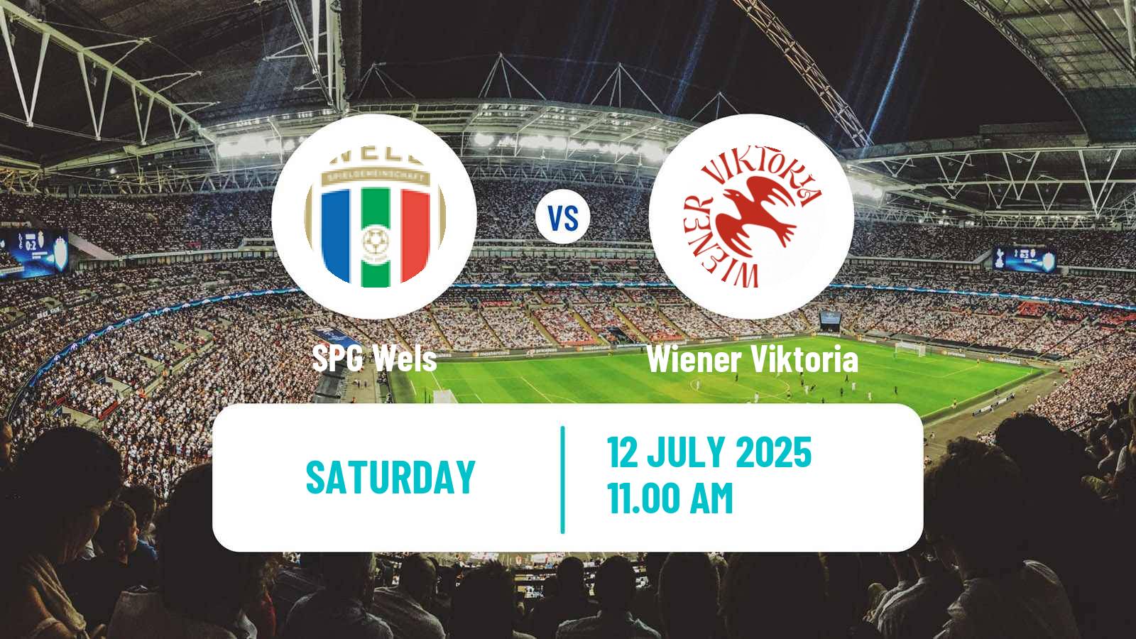 Football Club Friendly SPG Wels - Wiener Viktoria