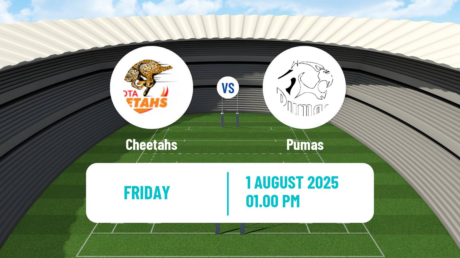 Rugby union Currie Cup Cheetahs - Pumas