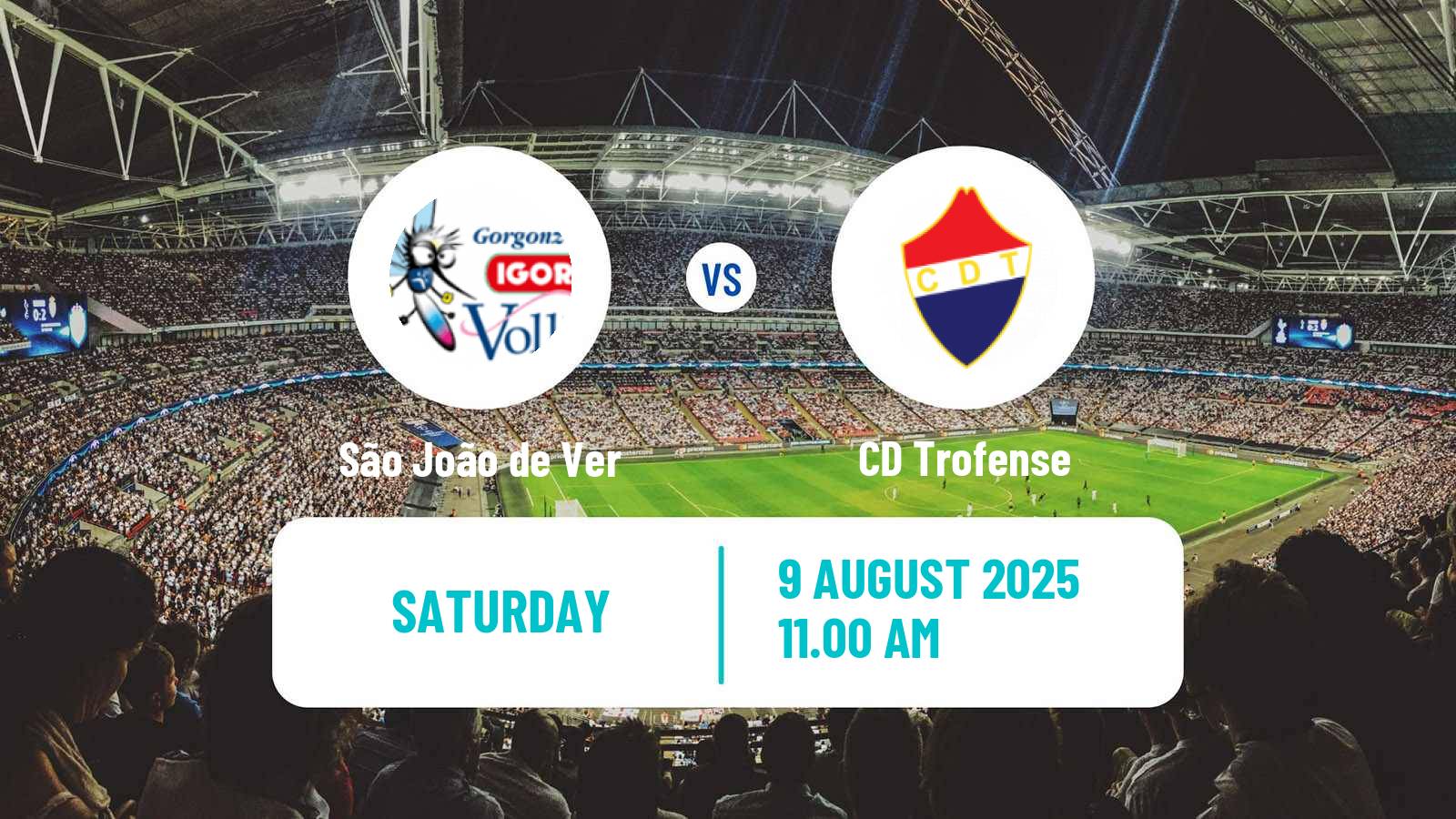Football Portuguese Liga 3 São João de Ver - Trofense