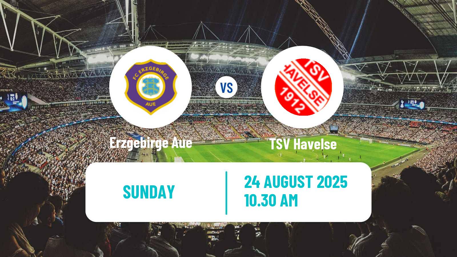 Football German 3 Bundesliga Erzgebirge Aue - TSV Havelse