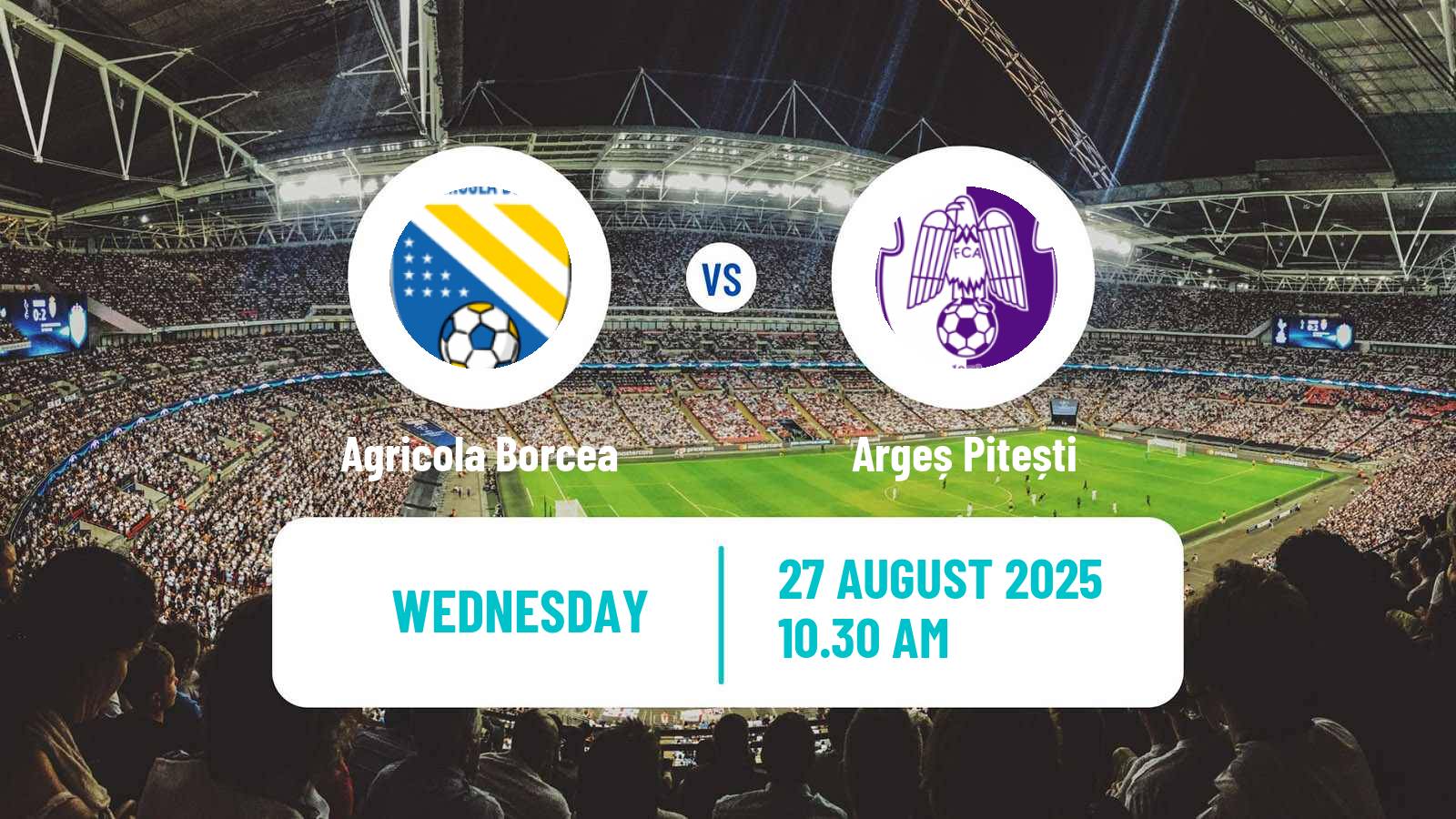 Football Romanian Cup Agricola Borcea - Argeș Pitești