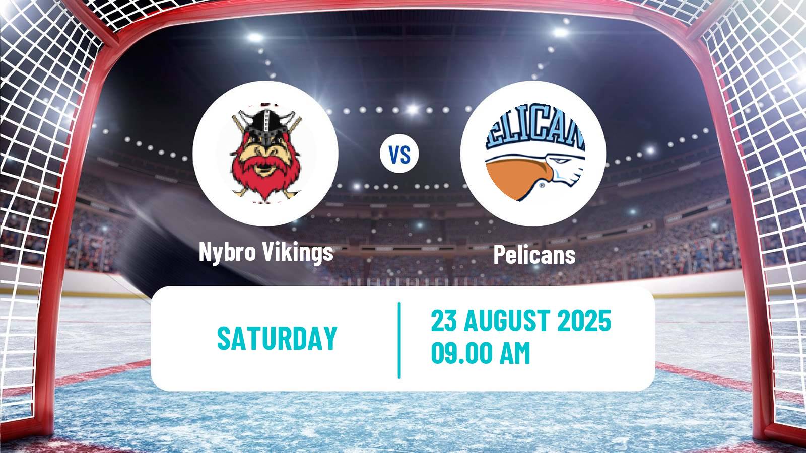 Hockey Club Friendly Ice Hockey Nybro Vikings - Pelicans