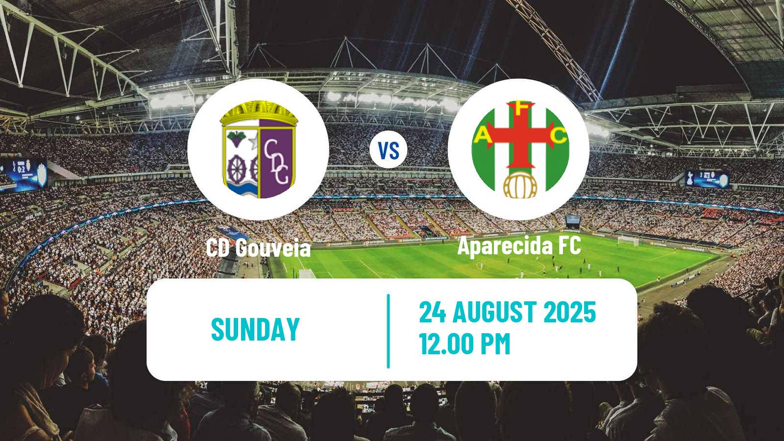 Football Campeonato de Portugal Gouveia - Aparecida