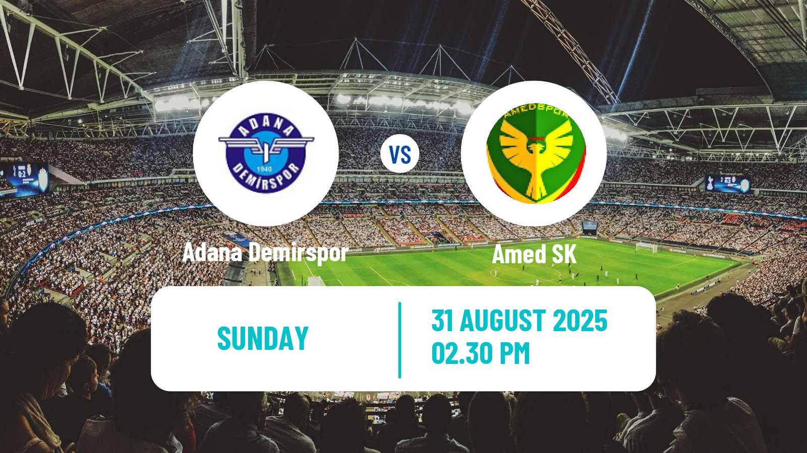 Football Turkish First League Adana Demirspor - Amed SK