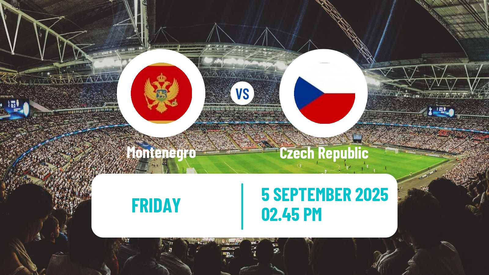 Football FIFA World Cup Montenegro - Czech Republic