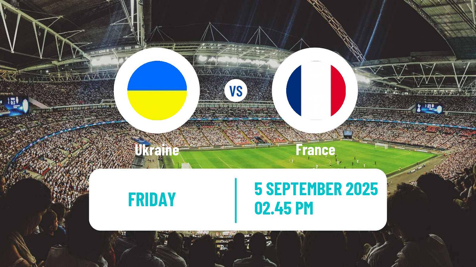 Football FIFA World Cup Ukraine - France