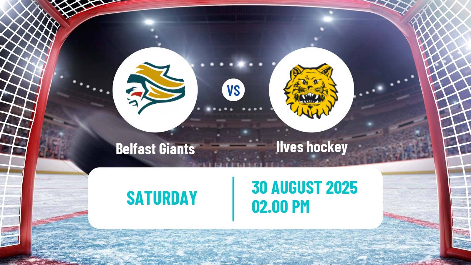 Hockey Champions League Ice Hockey Belfast Giants - Ilves