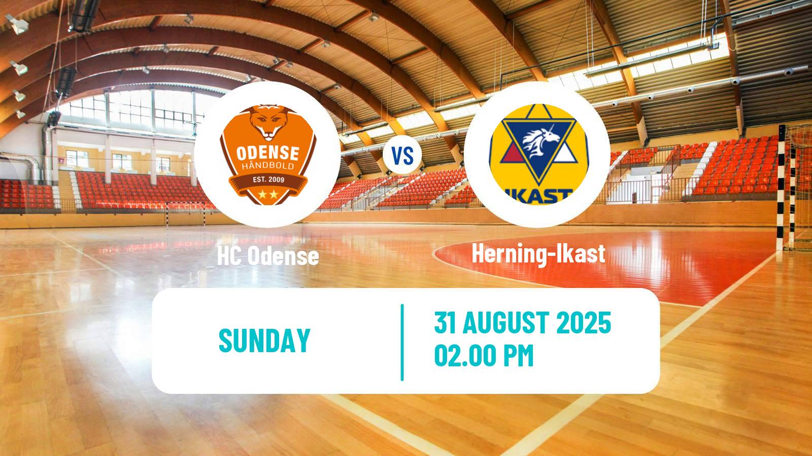 Handball Danish Handbold Ligaen Women Odense - Herning-Ikast