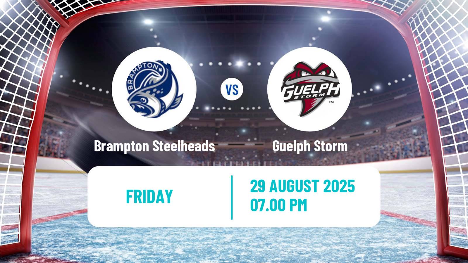 Hockey OHL Brampton Steelheads - Guelph Storm