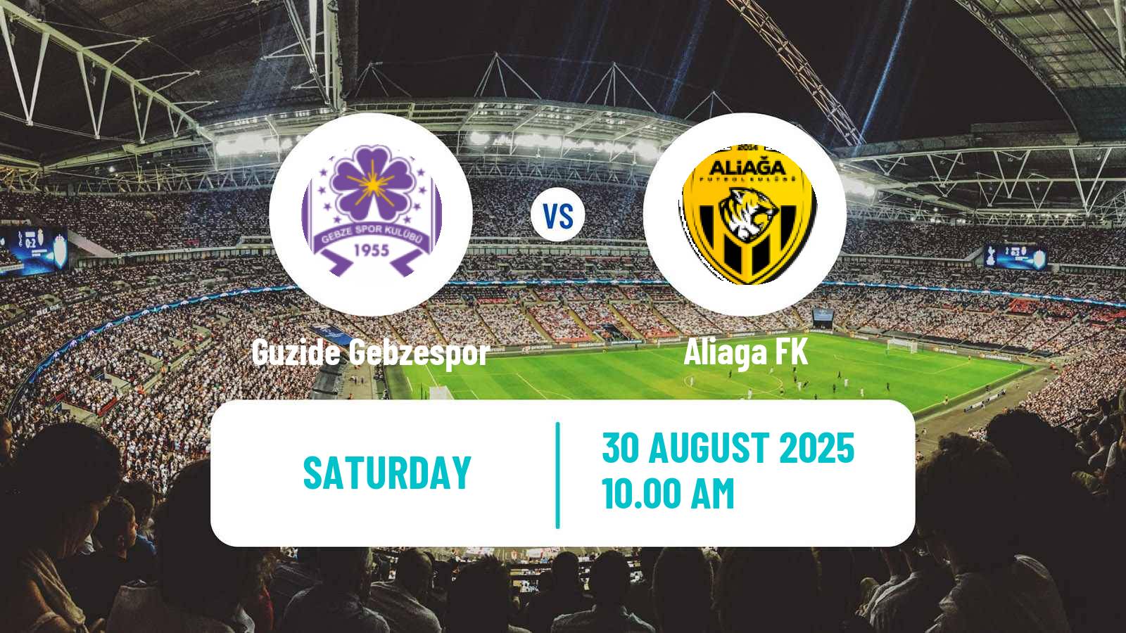 Football Turkish Second League Red Group Guzide Gebzespor - Aliaga