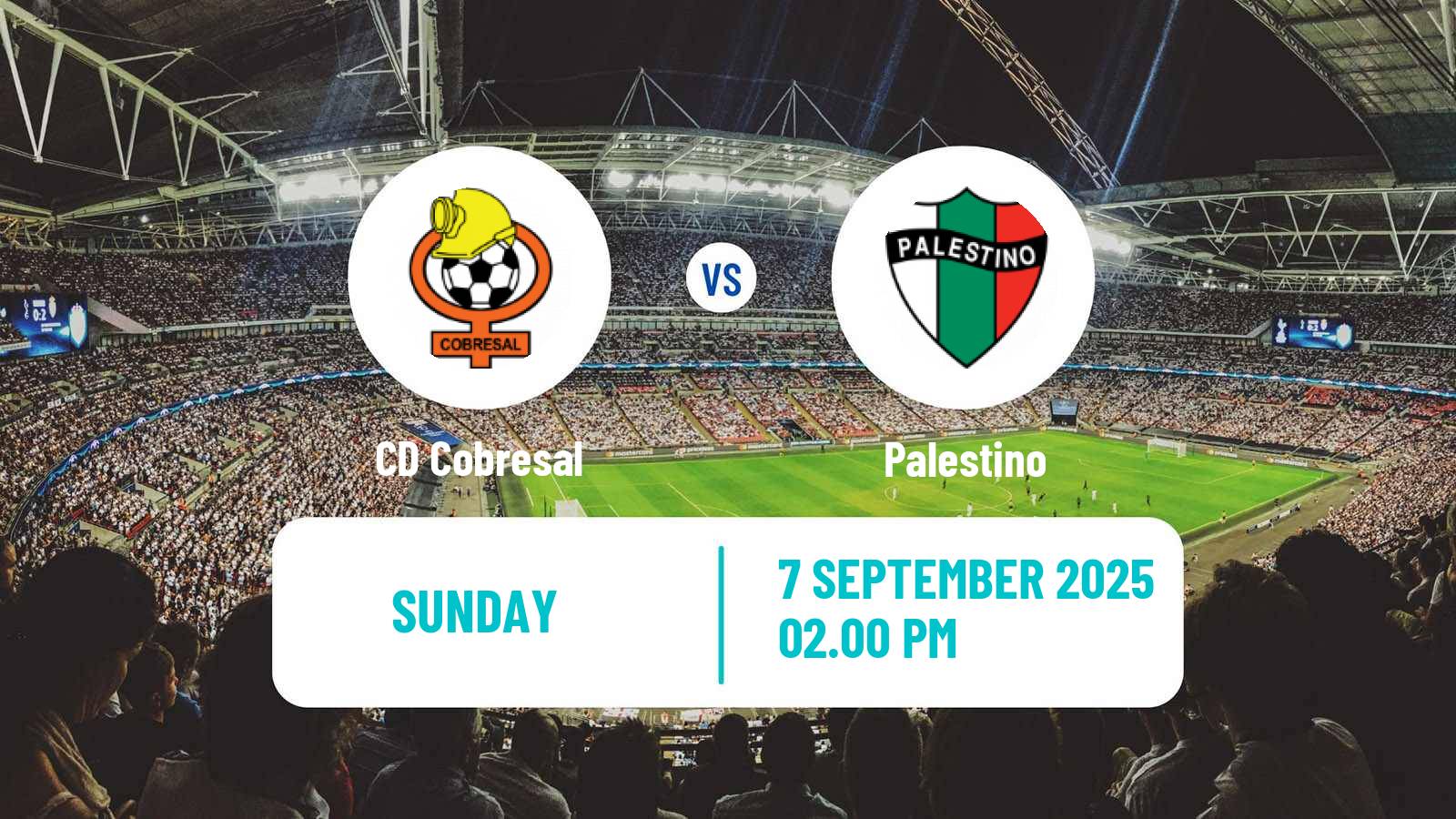Football Chilean Primera Division Cobresal - Palestino