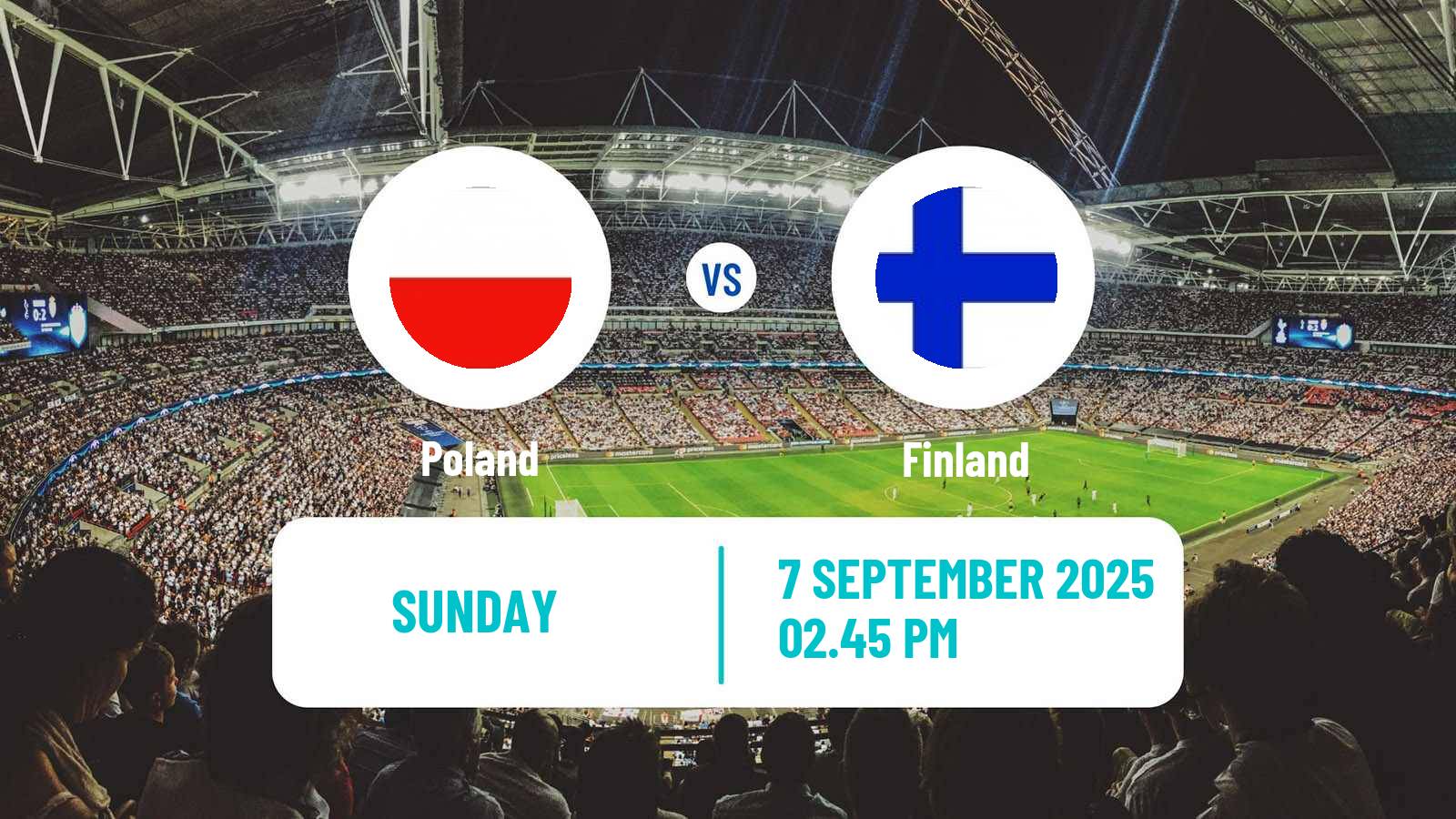 Football FIFA World Cup Poland - Finland