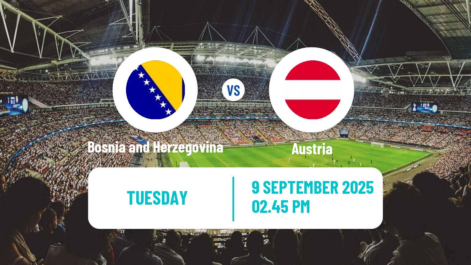 Football FIFA World Cup Bosnia and Herzegovina - Austria