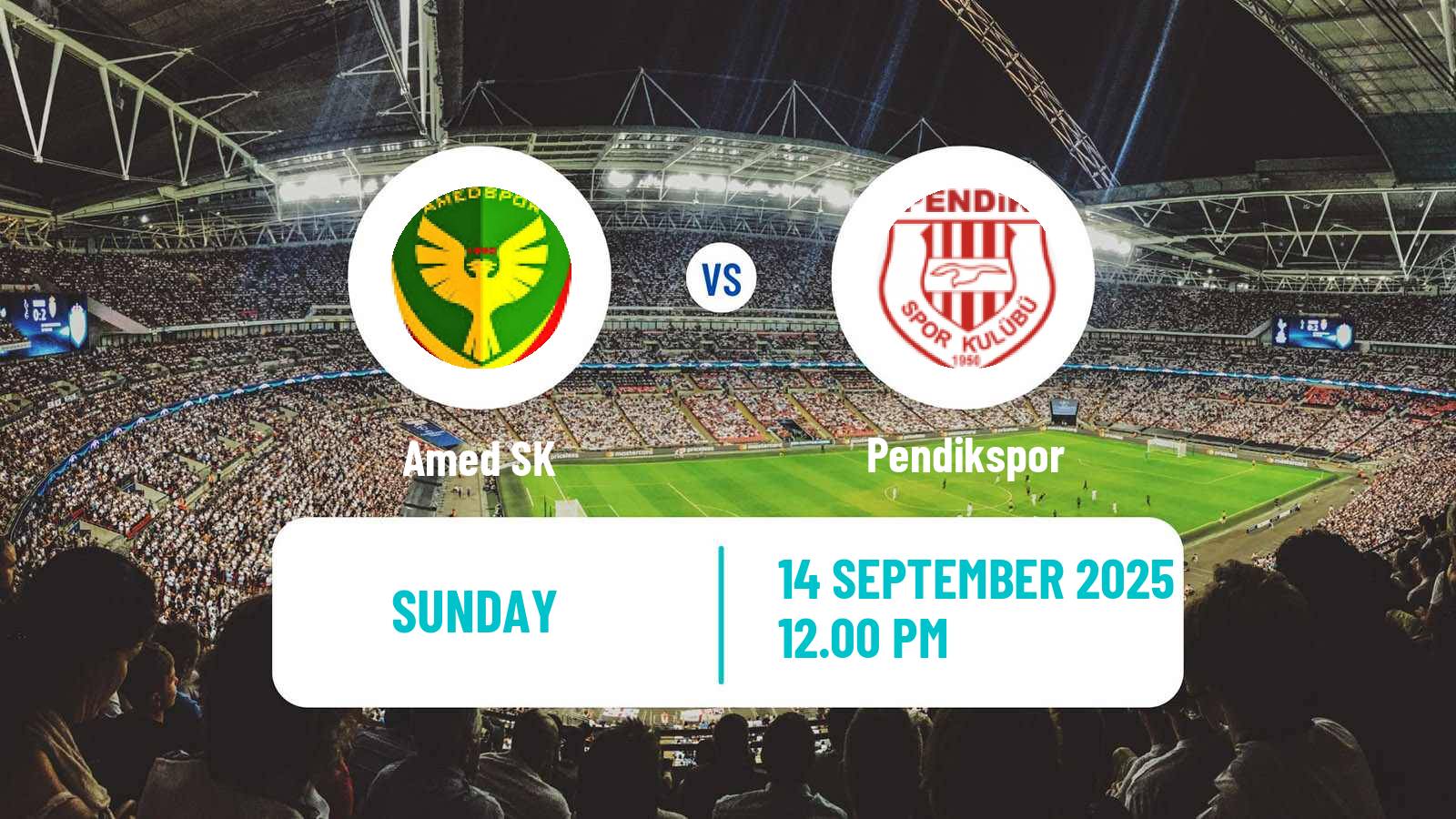 Football Turkish First League Amed SK - Pendikspor