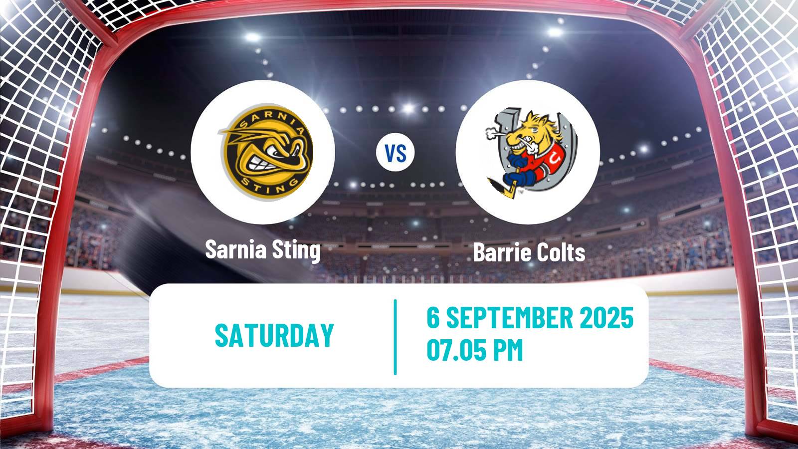 Hockey OHL Sarnia Sting - Barrie Colts