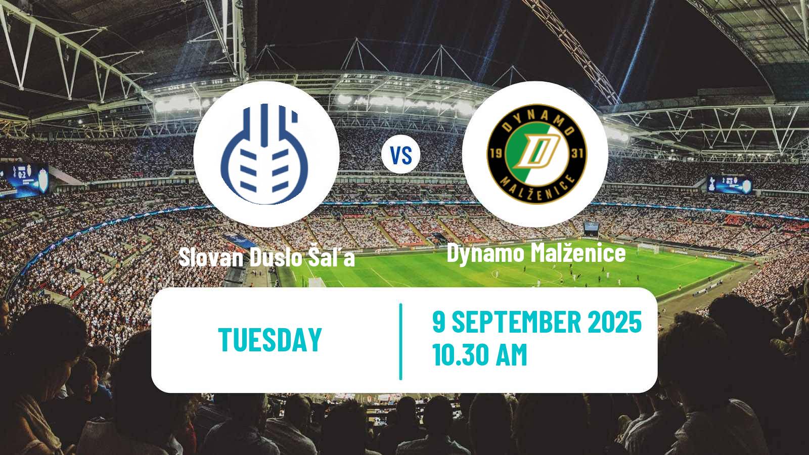 Football Slovak Cup Slovan Duslo Šaľa - Dynamo Malženice