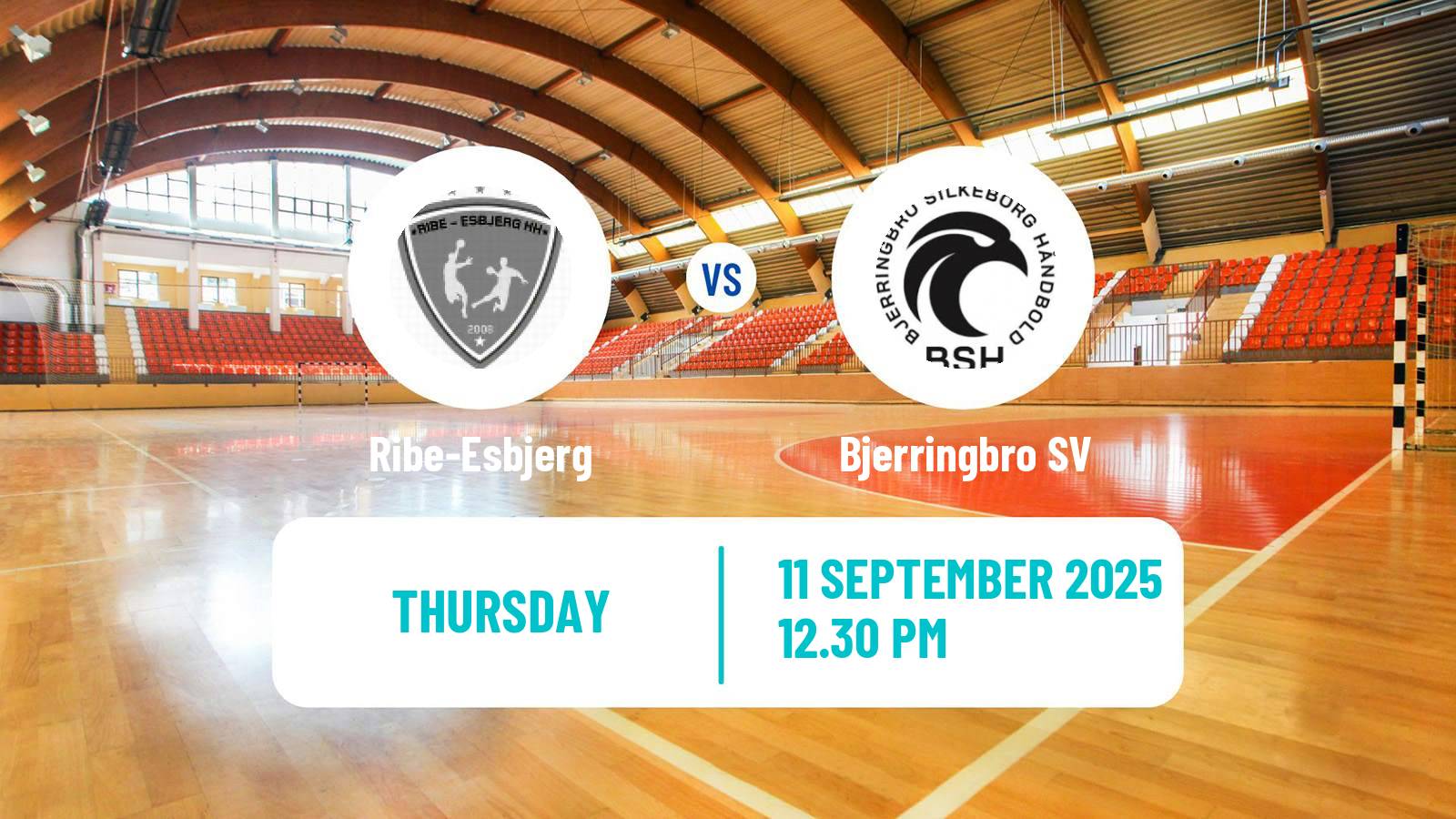 Handball Danish Handbold Ligaen Ribe-Esbjerg - Bjerringbro SV