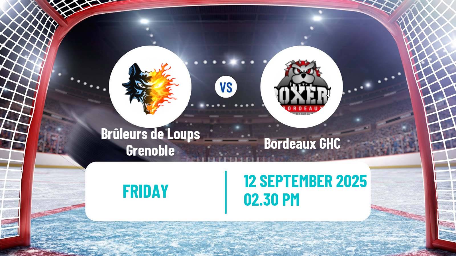 Hockey French Ligue Magnus Brûleurs de Loups Grenoble - Bordeaux