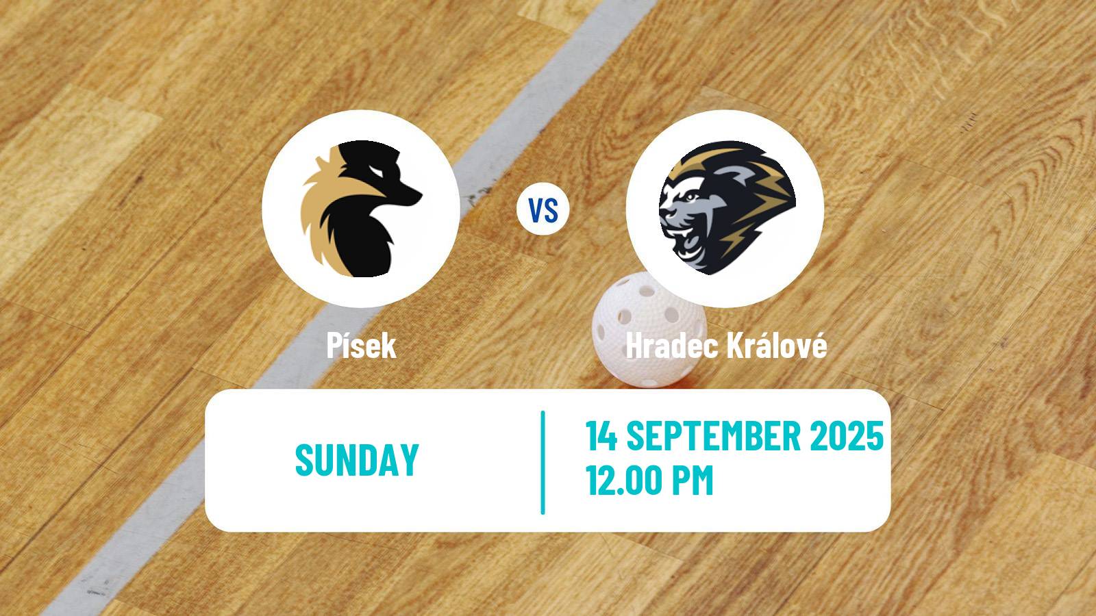 Floorball Czech 1 Liga Floorball Písek - Hradec Králové