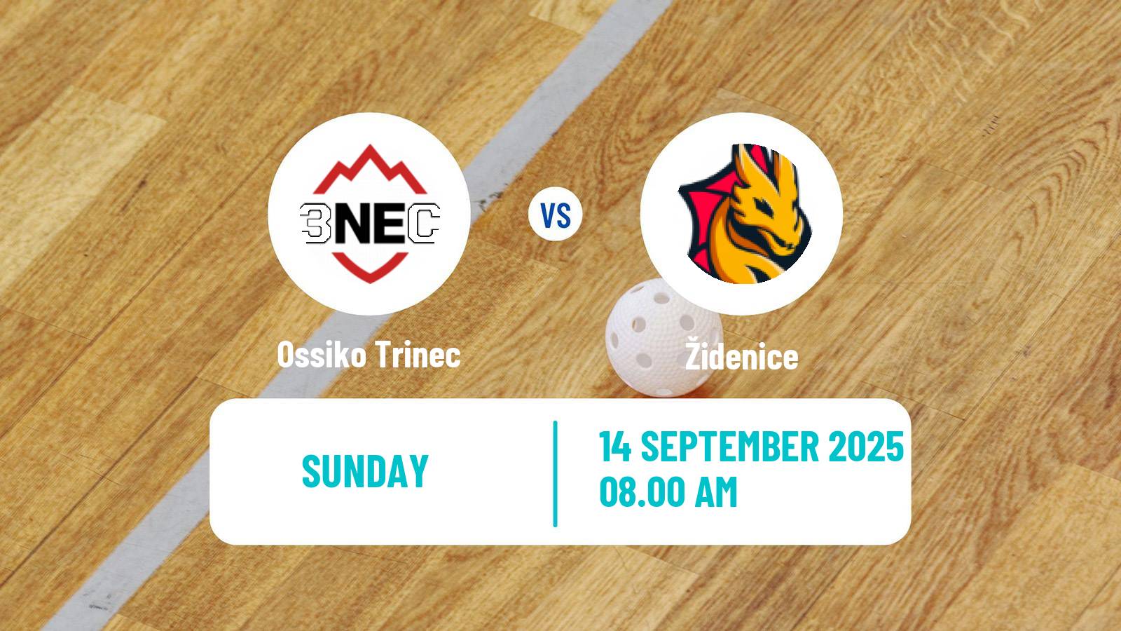 Floorball Czech Extraliga Floorball Women Ossiko Trinec - Židenice
