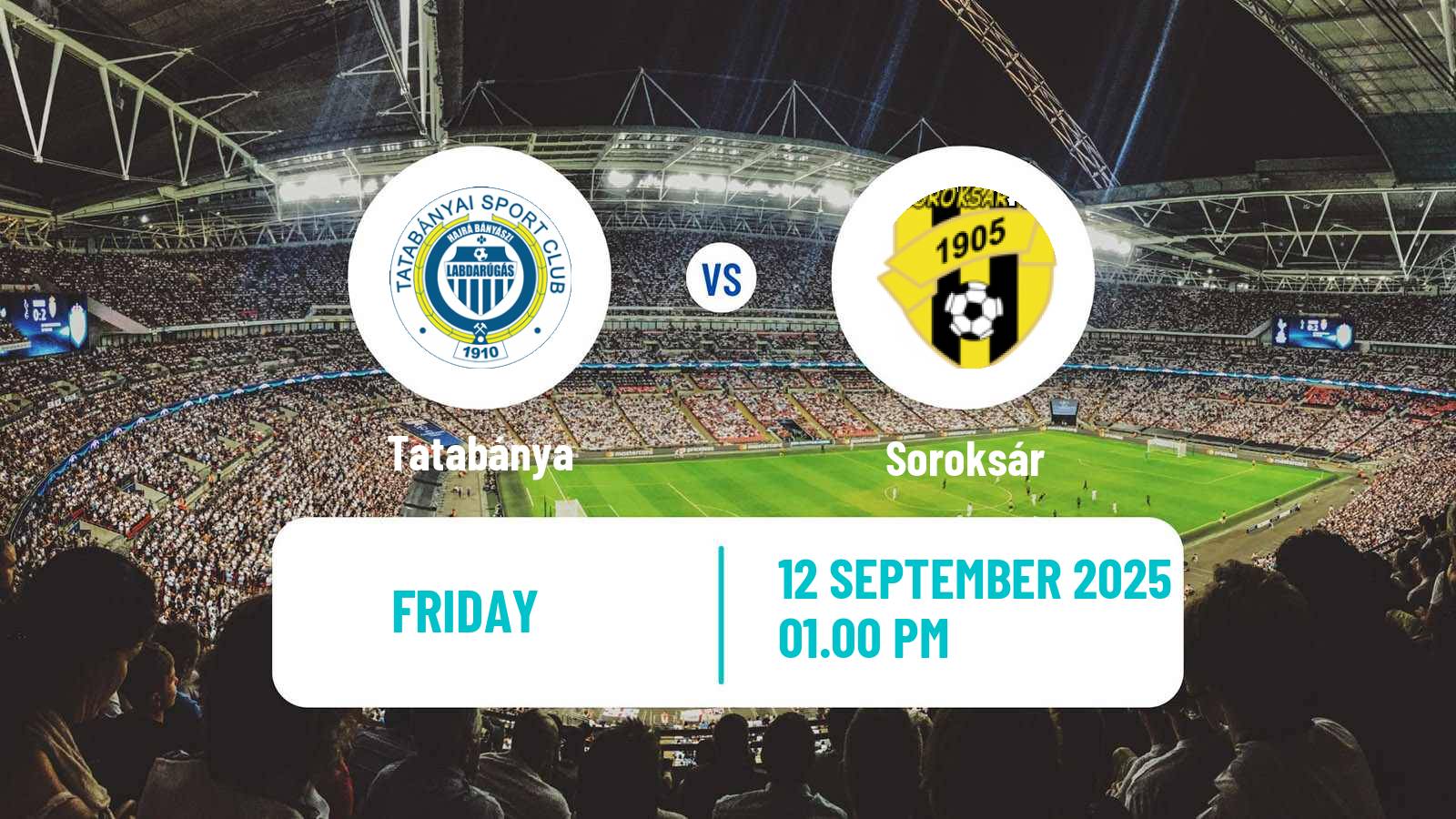 Football Hungarian Cup Tatabánya - Soroksár